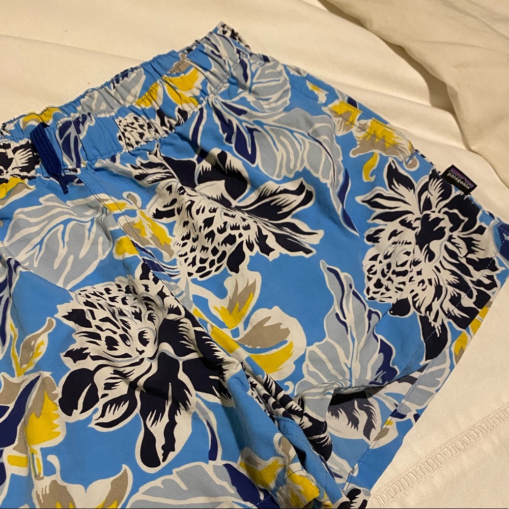 Patagonia baggie shorts